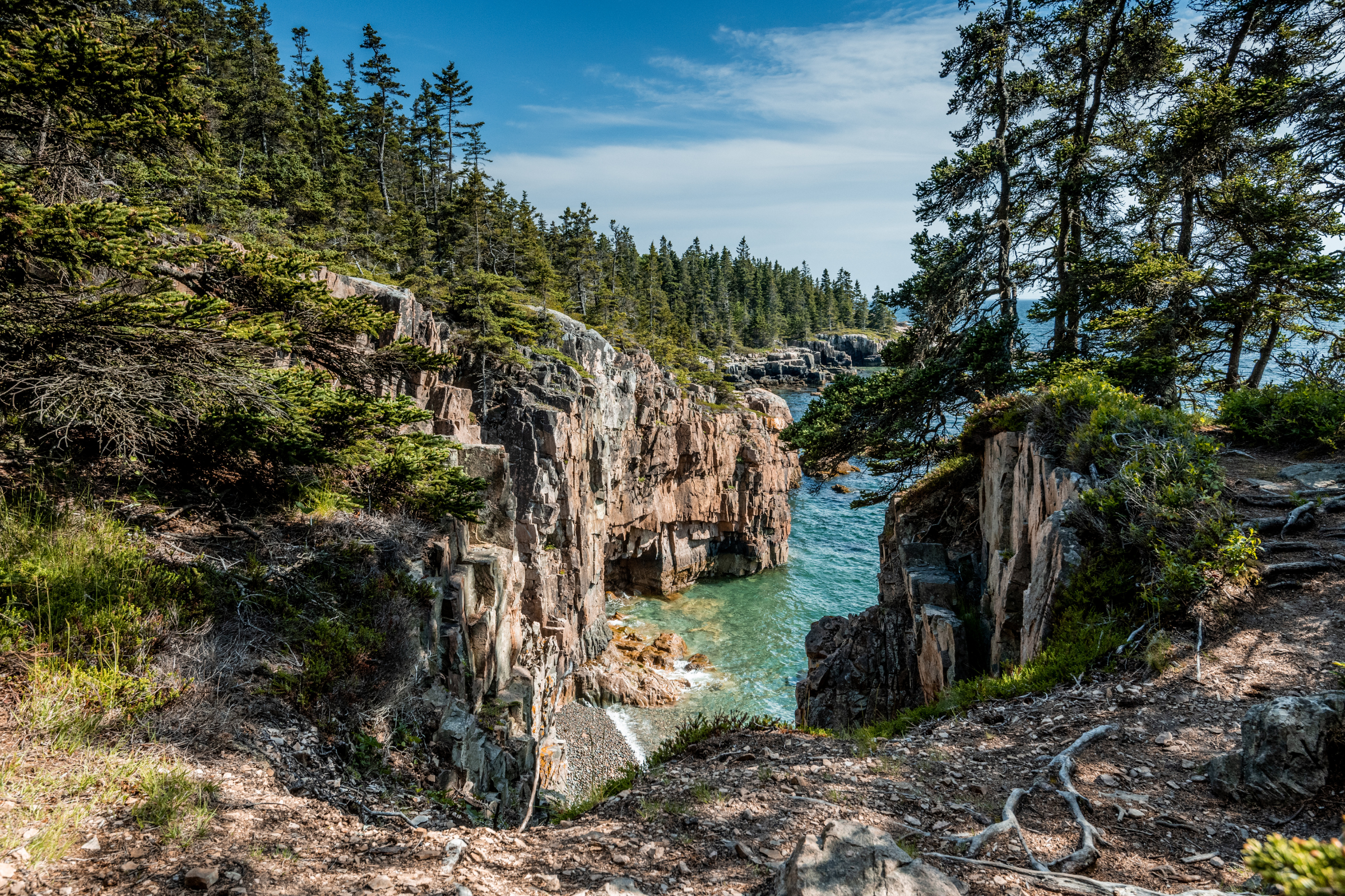 acadia national park, maine (2).webp